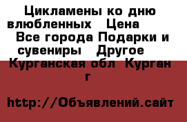 Цикламены ко дню влюбленных › Цена ­ 180 - Все города Подарки и сувениры » Другое   . Курганская обл.,Курган г.